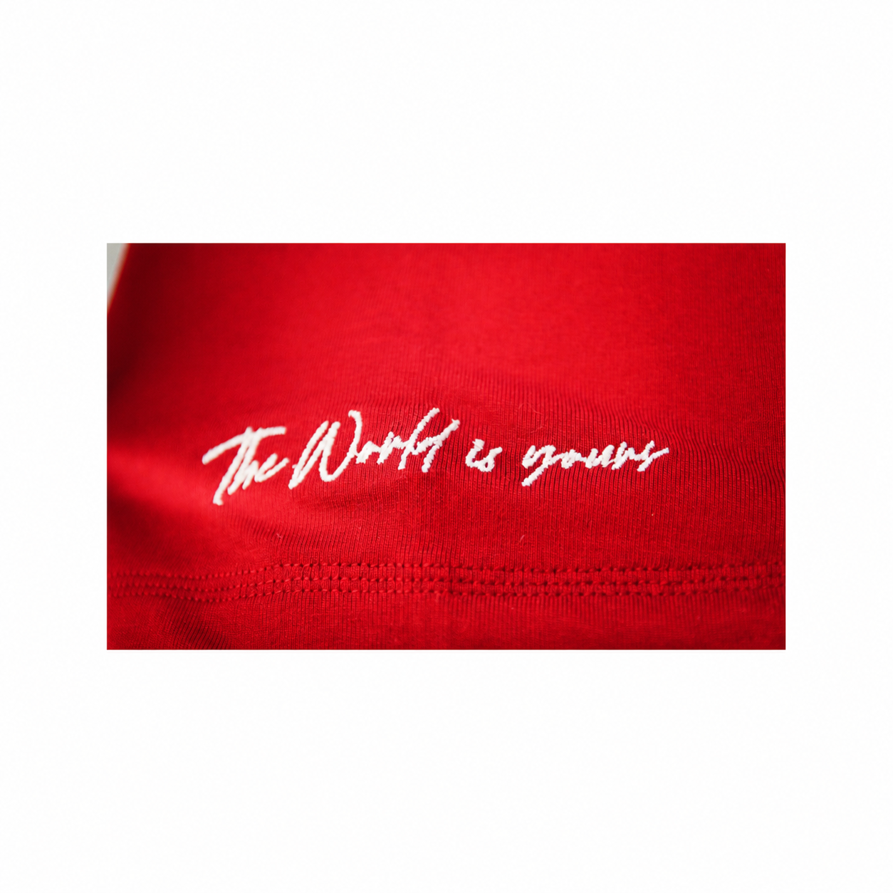 THE WORLD IS YOURS OVERSIZED RED TEE